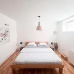 Lovely Basement Apartman *
